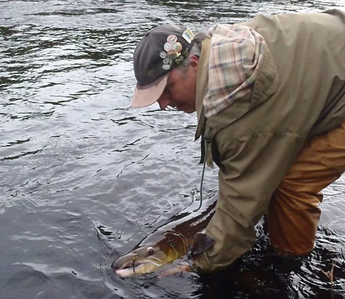 Catch Release Catch Release