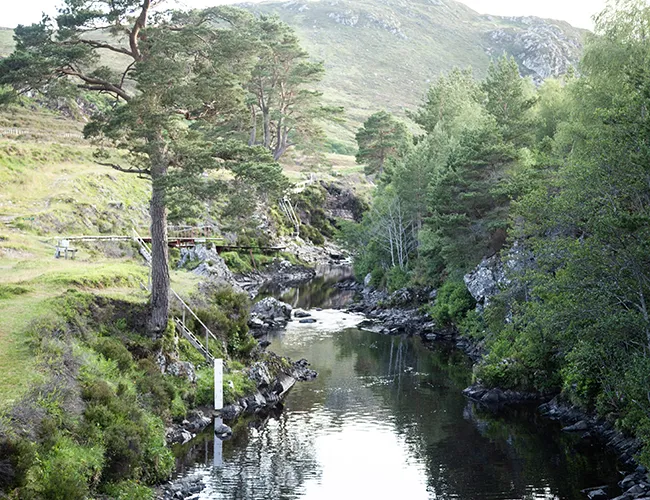 River Carron