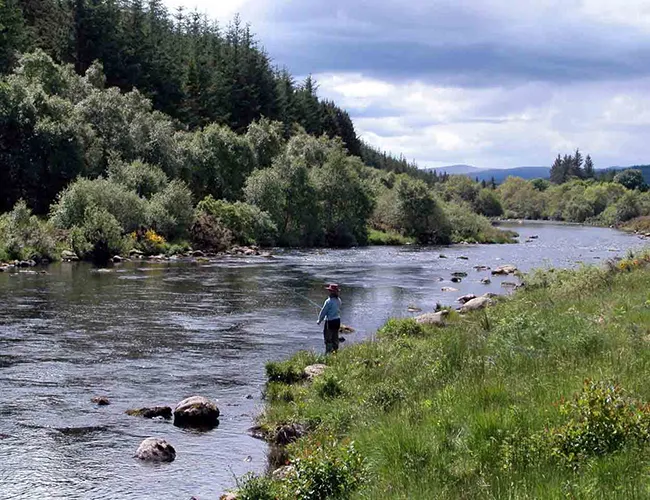 River Shin fishing River Shin fishing