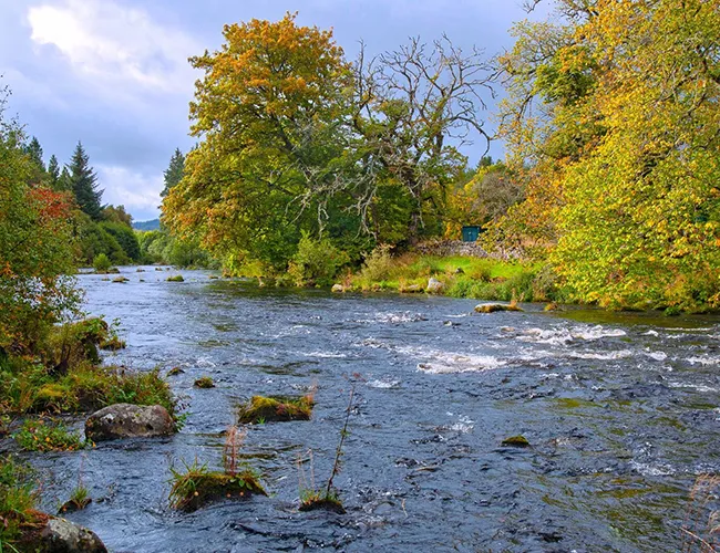 River Shin from cottage River Shin from cottage