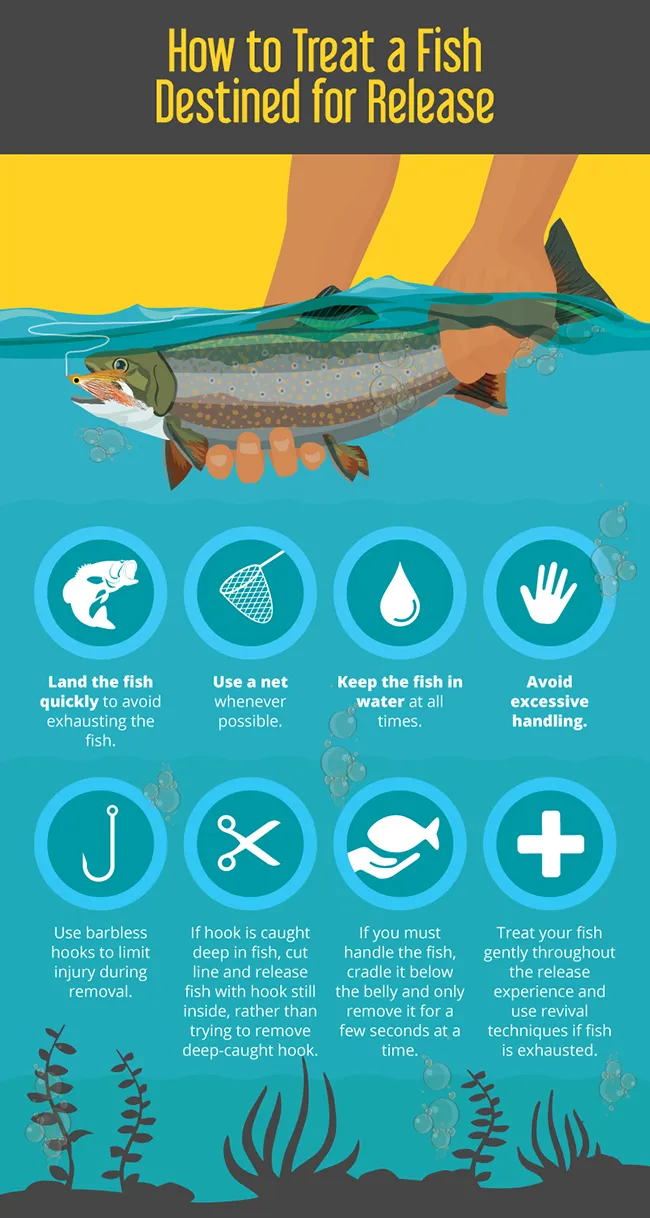 how to treat catch release how to treat catch release