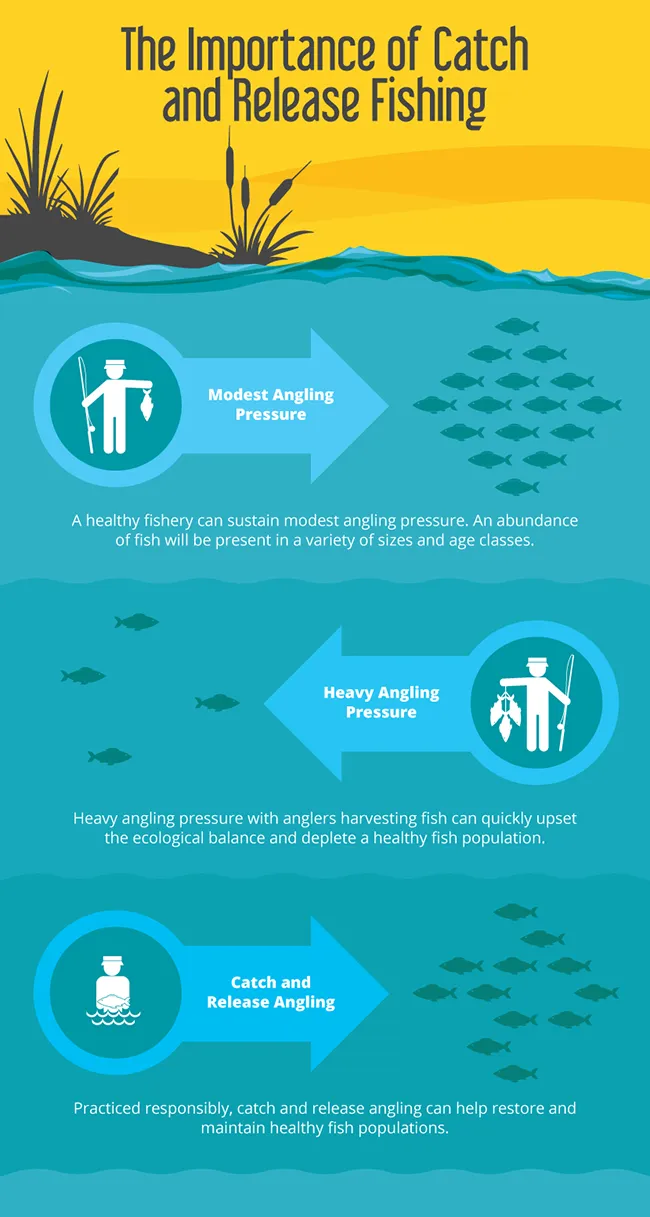 importance of catch release importance of catch release