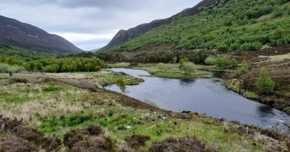 Accelerate Riverbank Woodland Restoration Accelerate Riverbank Woodland Restoration