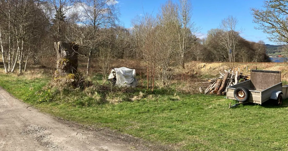 Hopes For A Small Native Tree Nursery In Ardgay