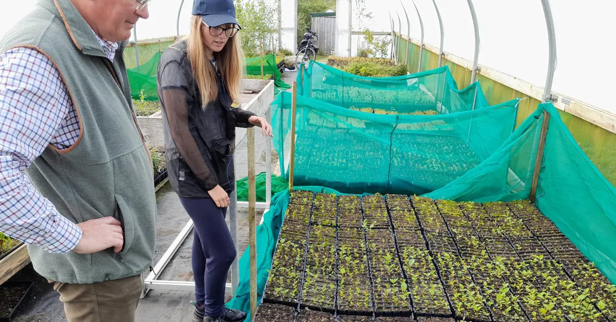 Hopes For A Small Native Tree Nursery In Ardgay