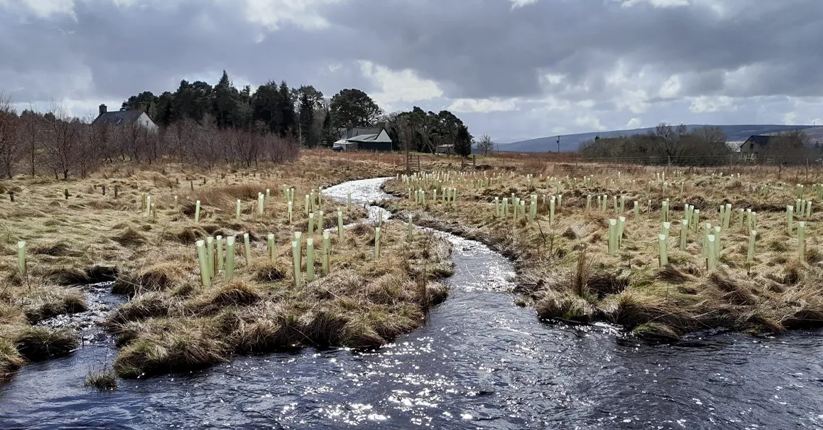 Introducing The Kyle Riverwoods Project