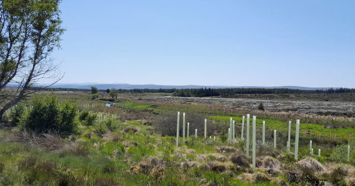 River Tirry Catchment Restoration