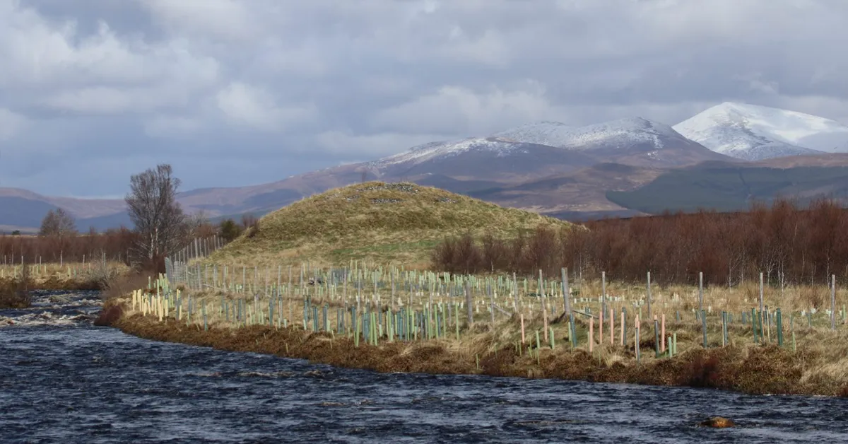 Tirryside Riparian Woodland Restoration
